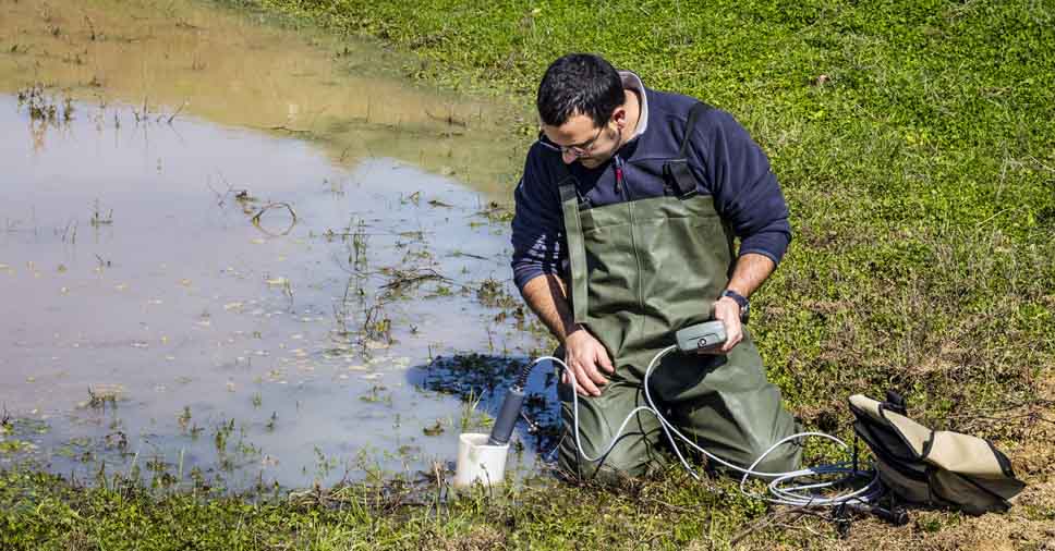 Não deixe que sua empresa cometa crimes ambientais