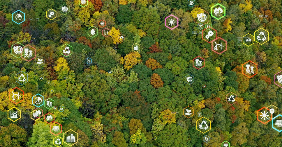 Monitoramento ambiental: qual importância para sua empresa?